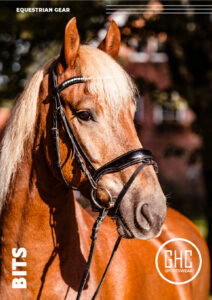 A close-up image of a horse with a sturdy black bridle and a decorative browband, showing a rich chestnut coat and a light blonde mane. The horse stands against a blurred outdoor background with trees and a building. The image includes text overlays: "EQUESTRIAN GEAR" at the top, "BITS" vertically on the left, and a circular logo with "GHC Sportswear®" at the bottom right. The focus is on custom wholesale horse bits.