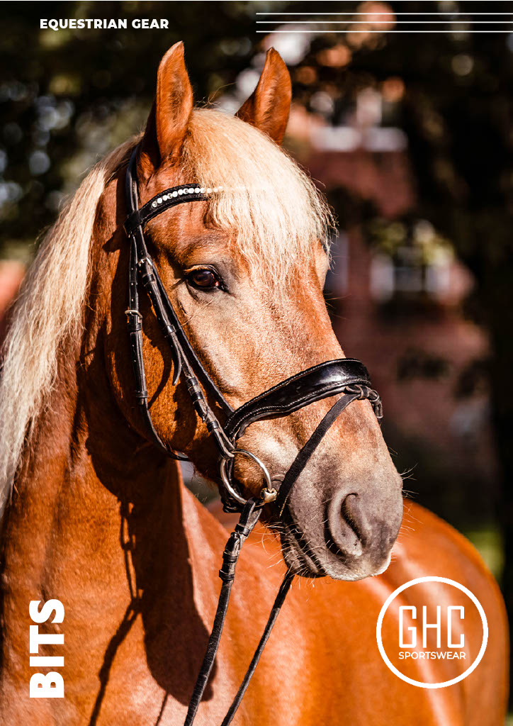 A close-up image of a horse with a sturdy black bridle and a decorative browband, showing a rich chestnut coat and a light blonde mane. The horse stands against a blurred outdoor background with trees and a building. The image includes text overlays: "EQUESTRIAN GEAR" at the top, "BITS" vertically on the left, and a circular logo with "GHC Sportswear®" at the bottom right. The focus is on custom wholesale horse bits.