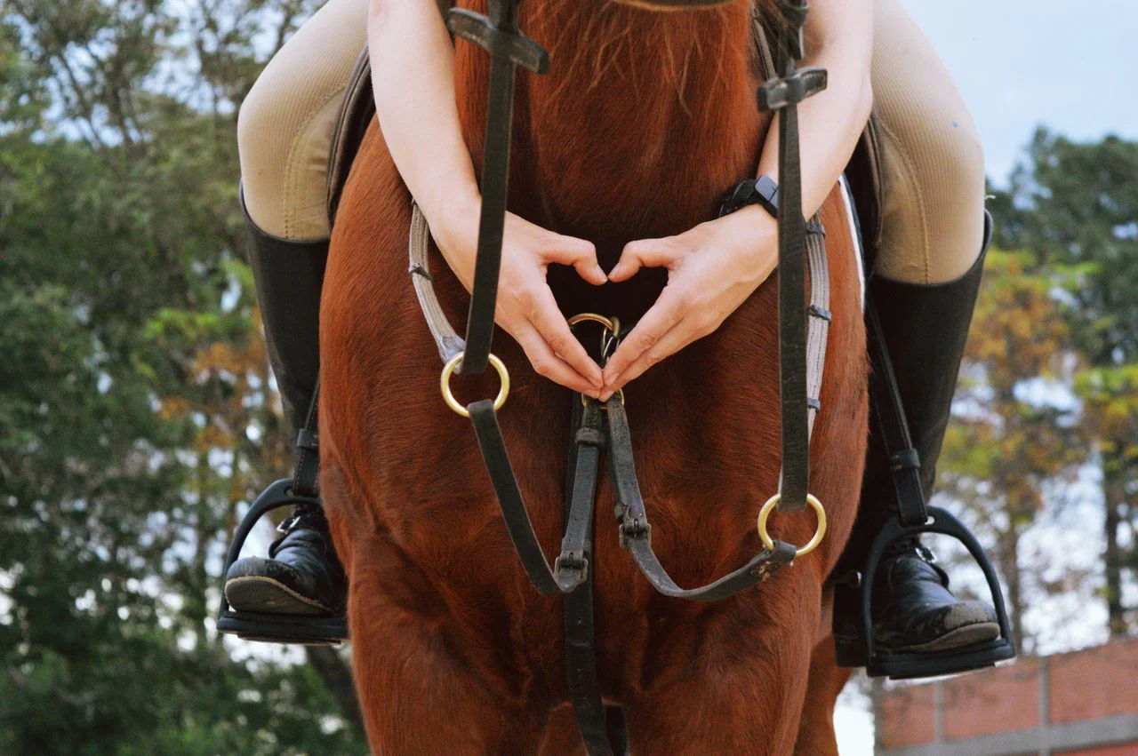 Custom equestrian gear manufacturer workspace with riding apparel, saddle pads, fabric swatches, private label packaging, and bulk production.