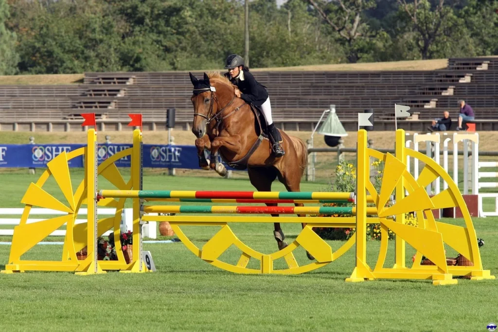 everyday riding vs competition gear: key differences for riders, clubs, and equestrian brands 2 Everyday riding vs competition gear comparison with training breeches, base layers, show jacket, white breeches, saddle pads, and custom equestrian apparel.