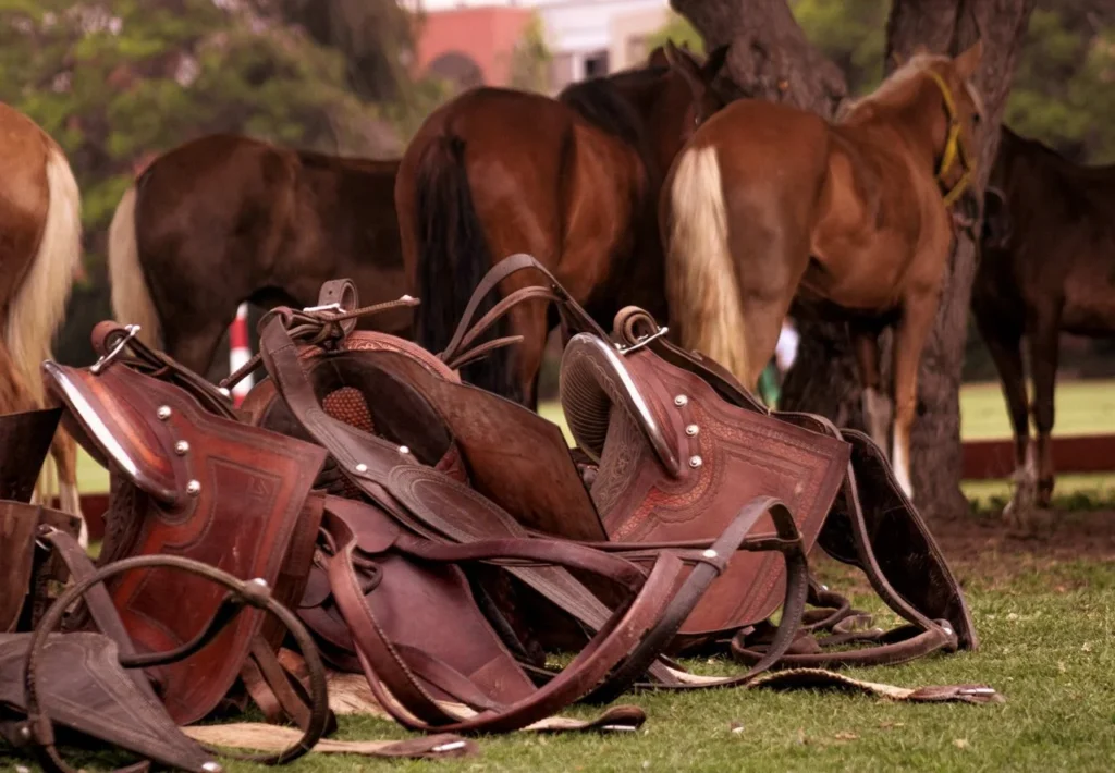 cheap vs premium saddles: is it worth paying more for horse comfort and long-term value? 2 Cheap vs premium saddles comparison showing saddle structure, panel balance, stitching, leather quality, saddle fit checklist, and bulk equestrian gear planning.