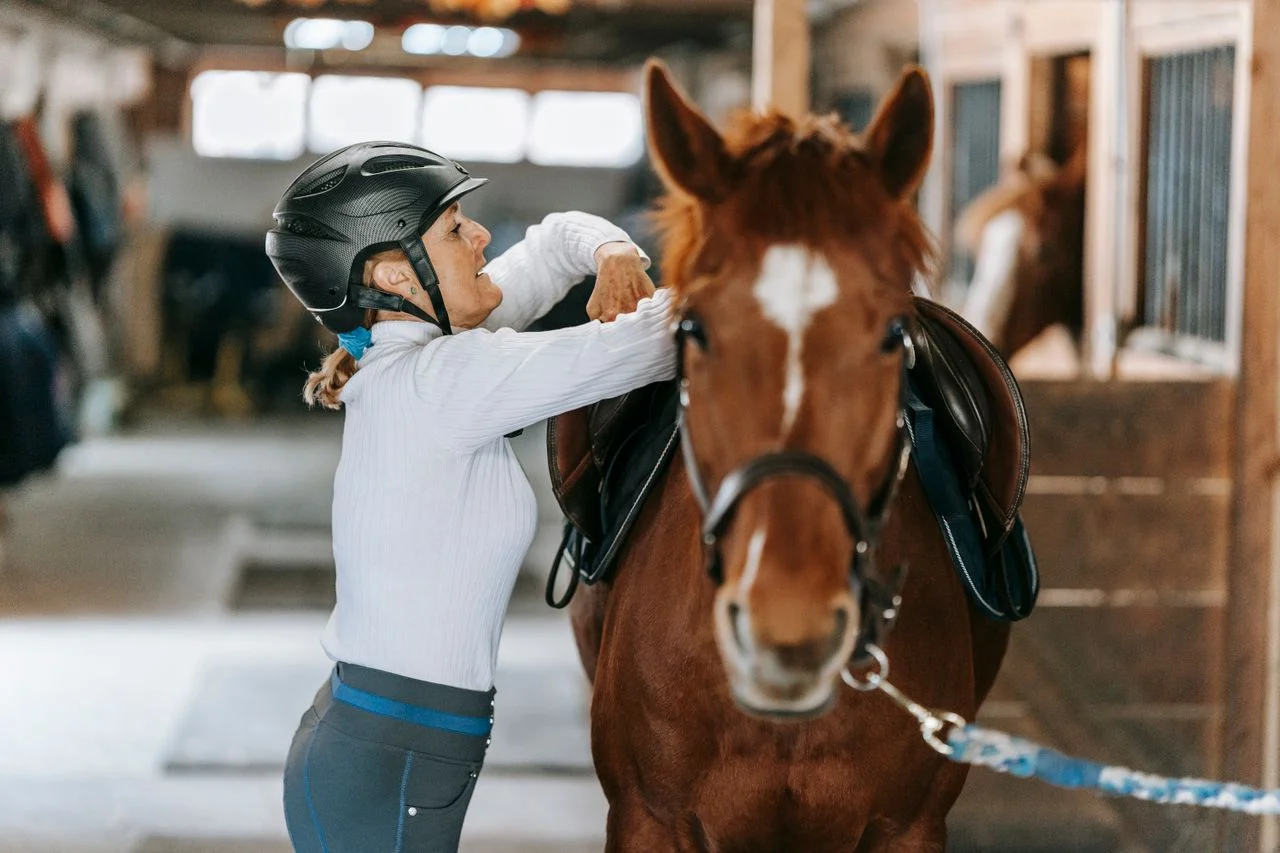 why saddle keeps slipping: real causes, proper fixes, and tack setup guide 2 Why saddle keeps slipping shown through saddle fit checks, saddle pads, girths, breastplate, horse back template, and custom equestrian gear planning.